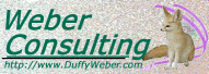 Weber Consulting Ltd. - Duffy Weber - In business Since 1998
